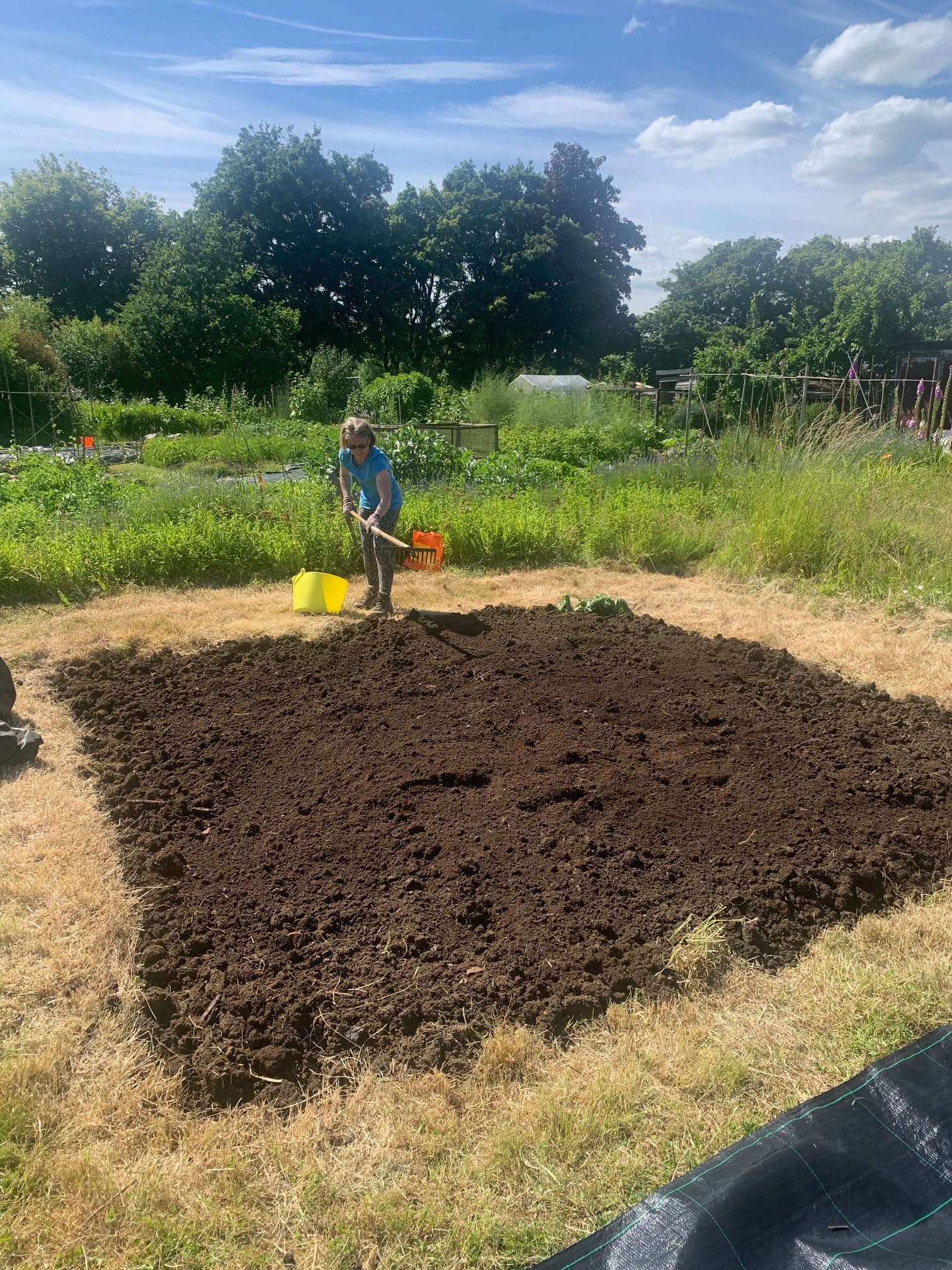 An appreciation of allotments
