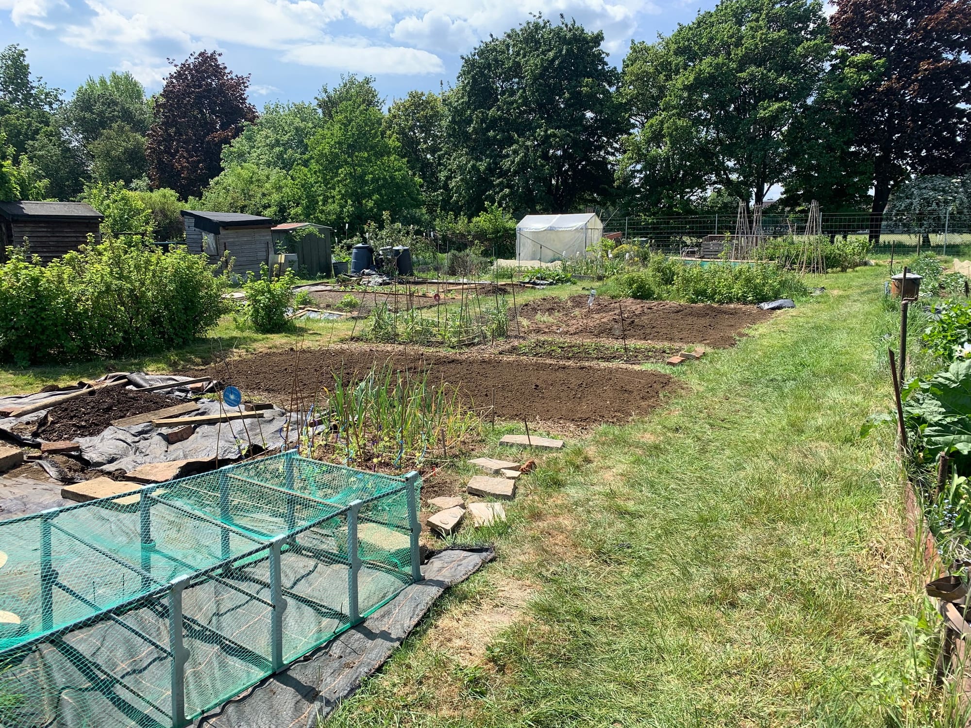 An appreciation of allotments
