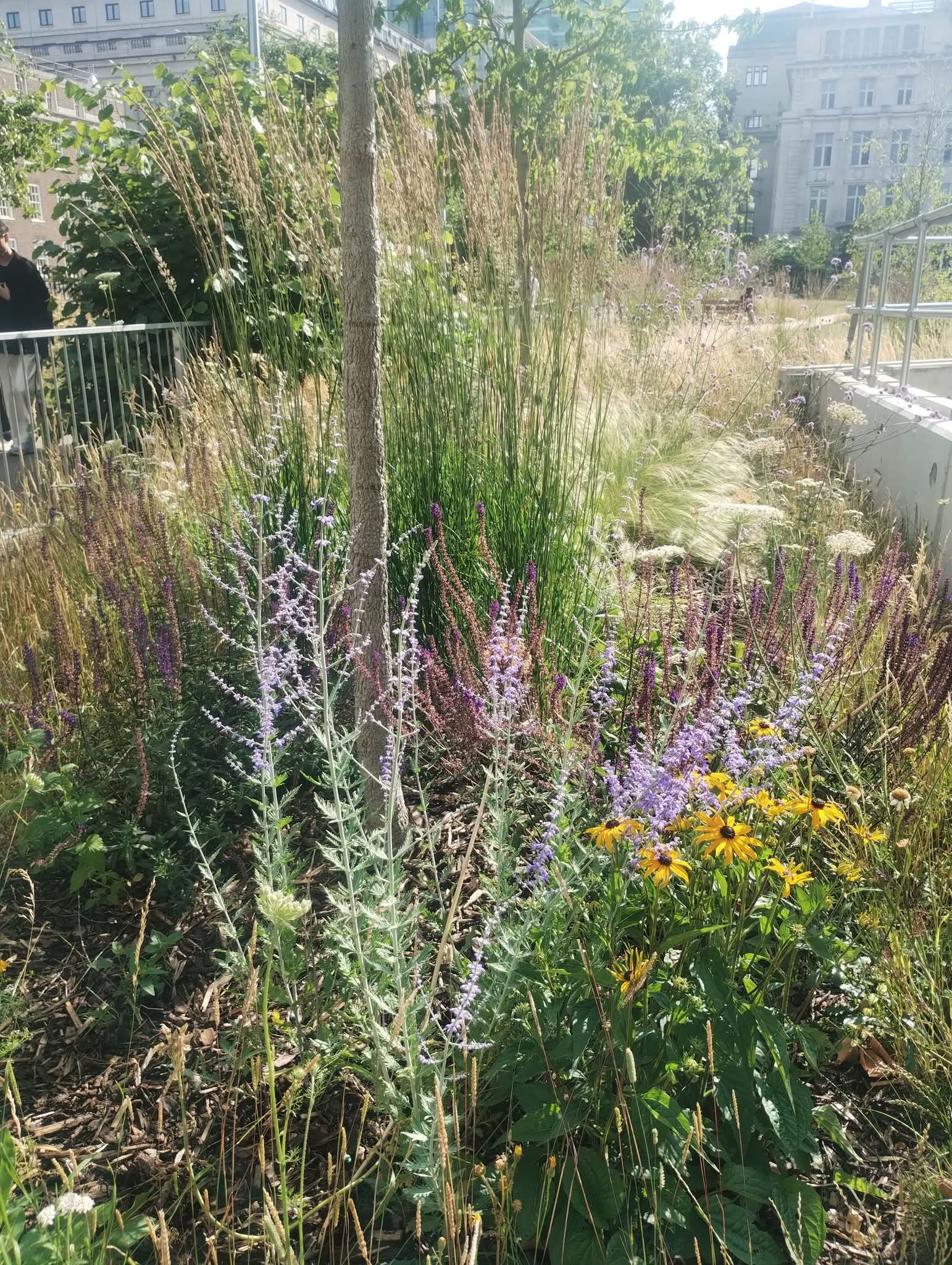 Climate-proofing your garden
