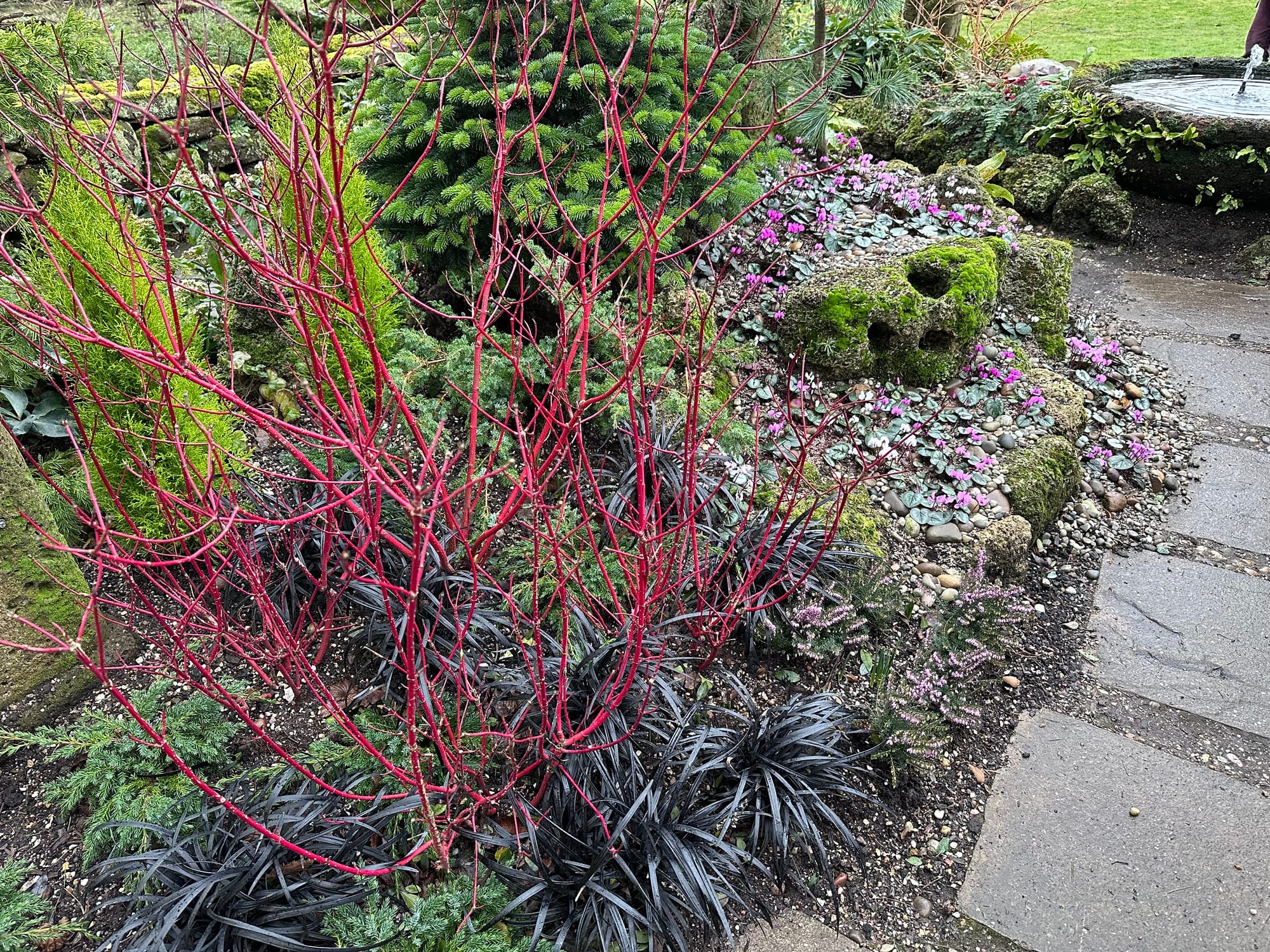 How plants can help reduce flood risk