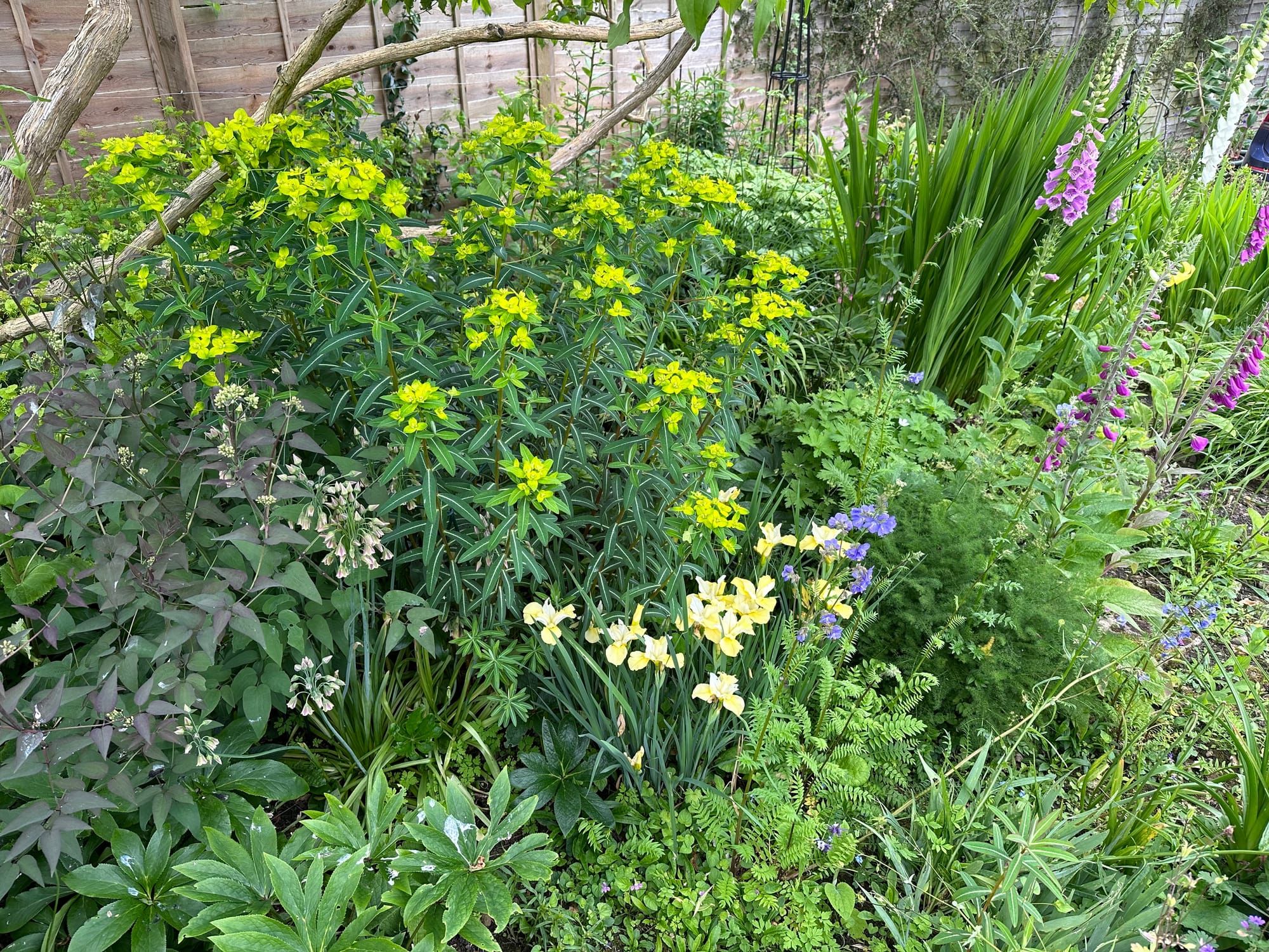 How plants can help reduce flood risk