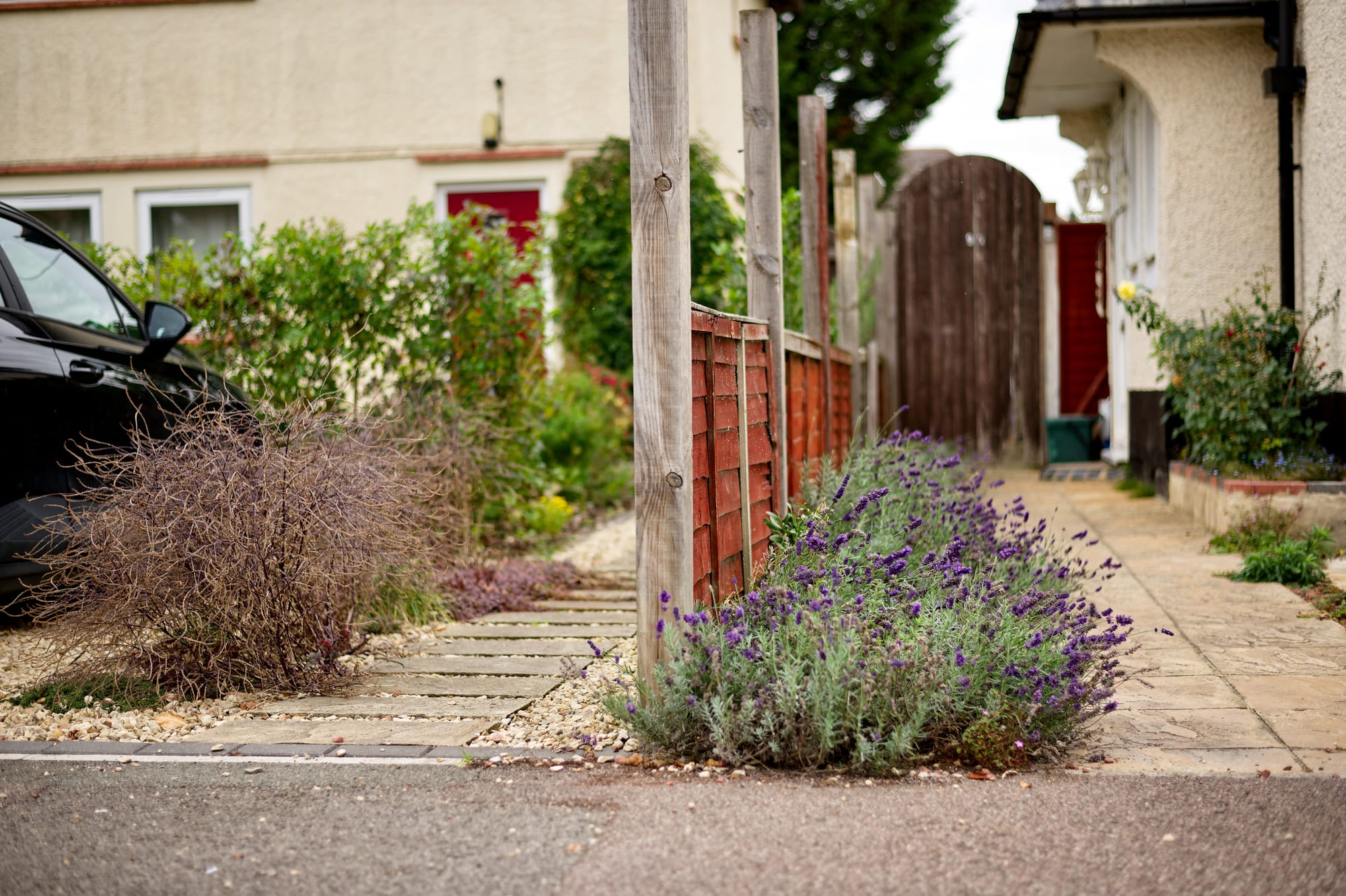 How plants can help reduce flood risk