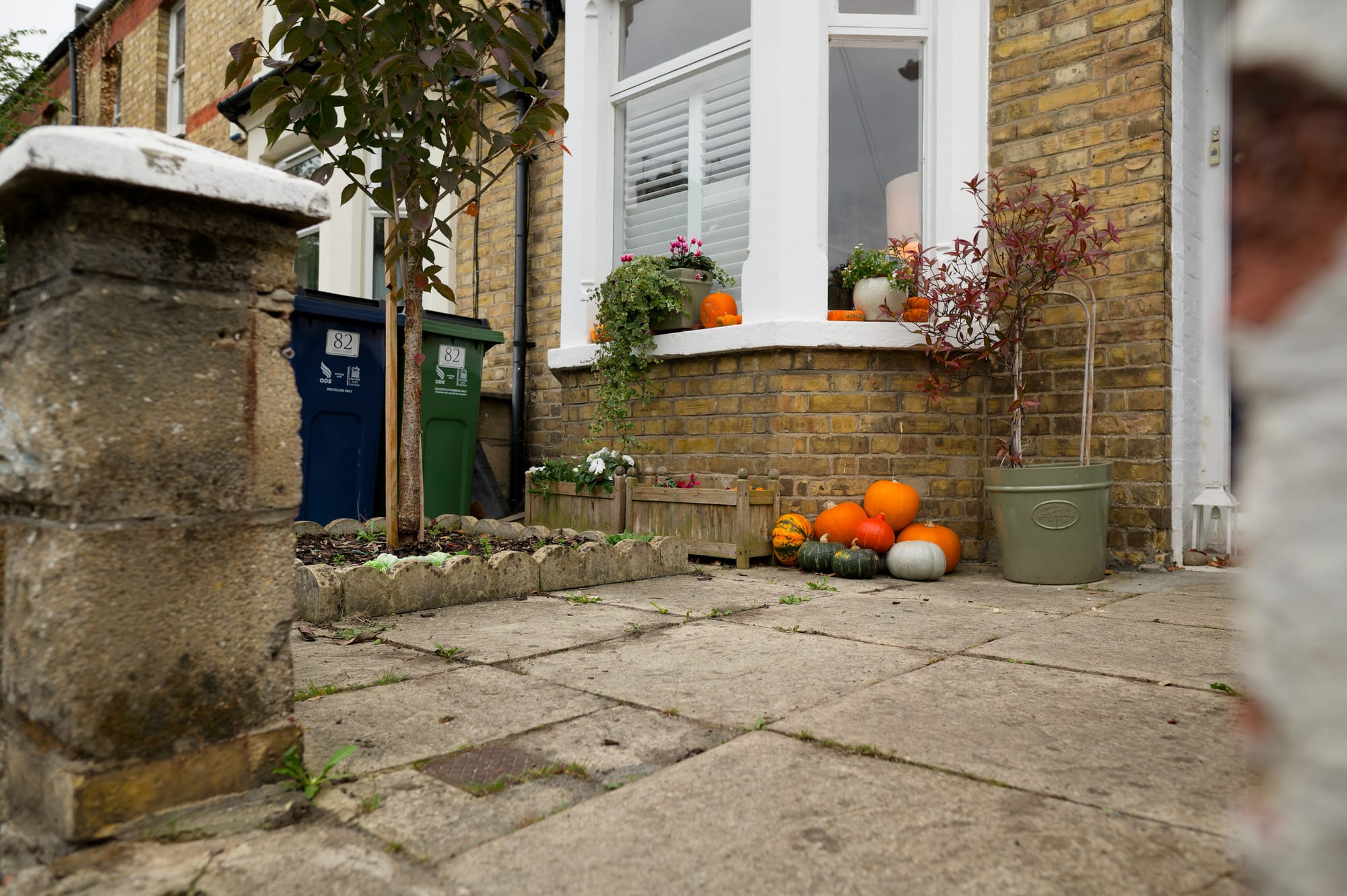 How plants can help reduce flood risk