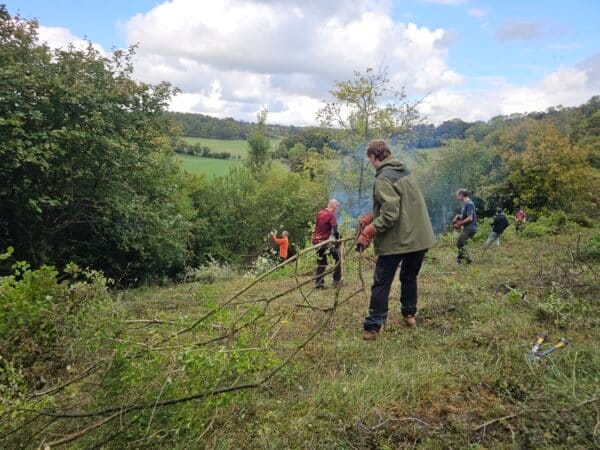 Photo of people moving branches and working outdoors