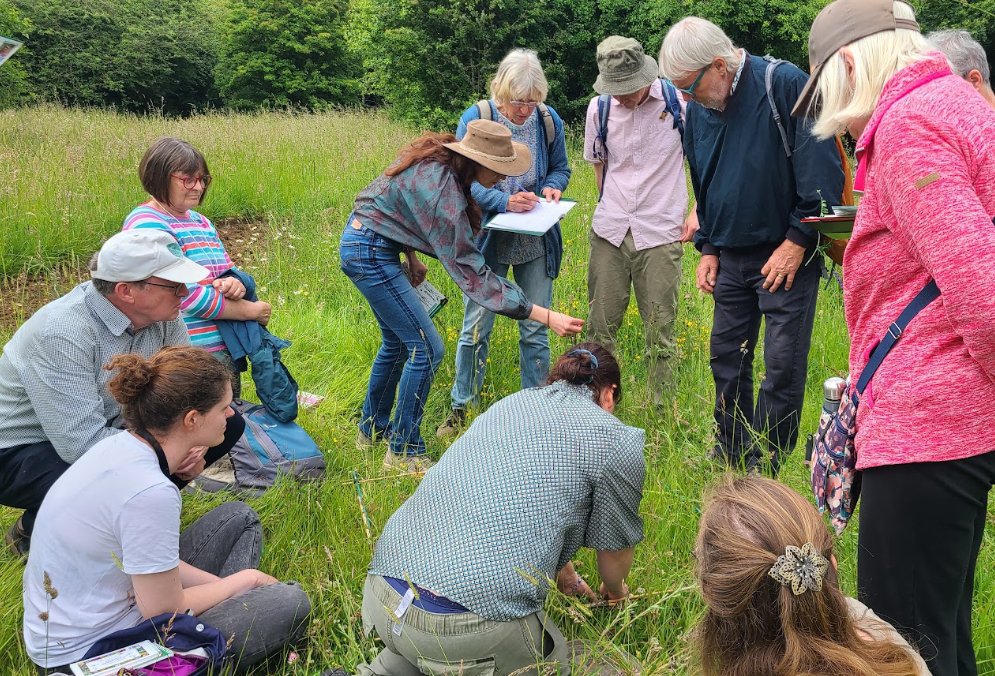 A dozen people gather round a botanist gesturing at a flower in a meadow.
