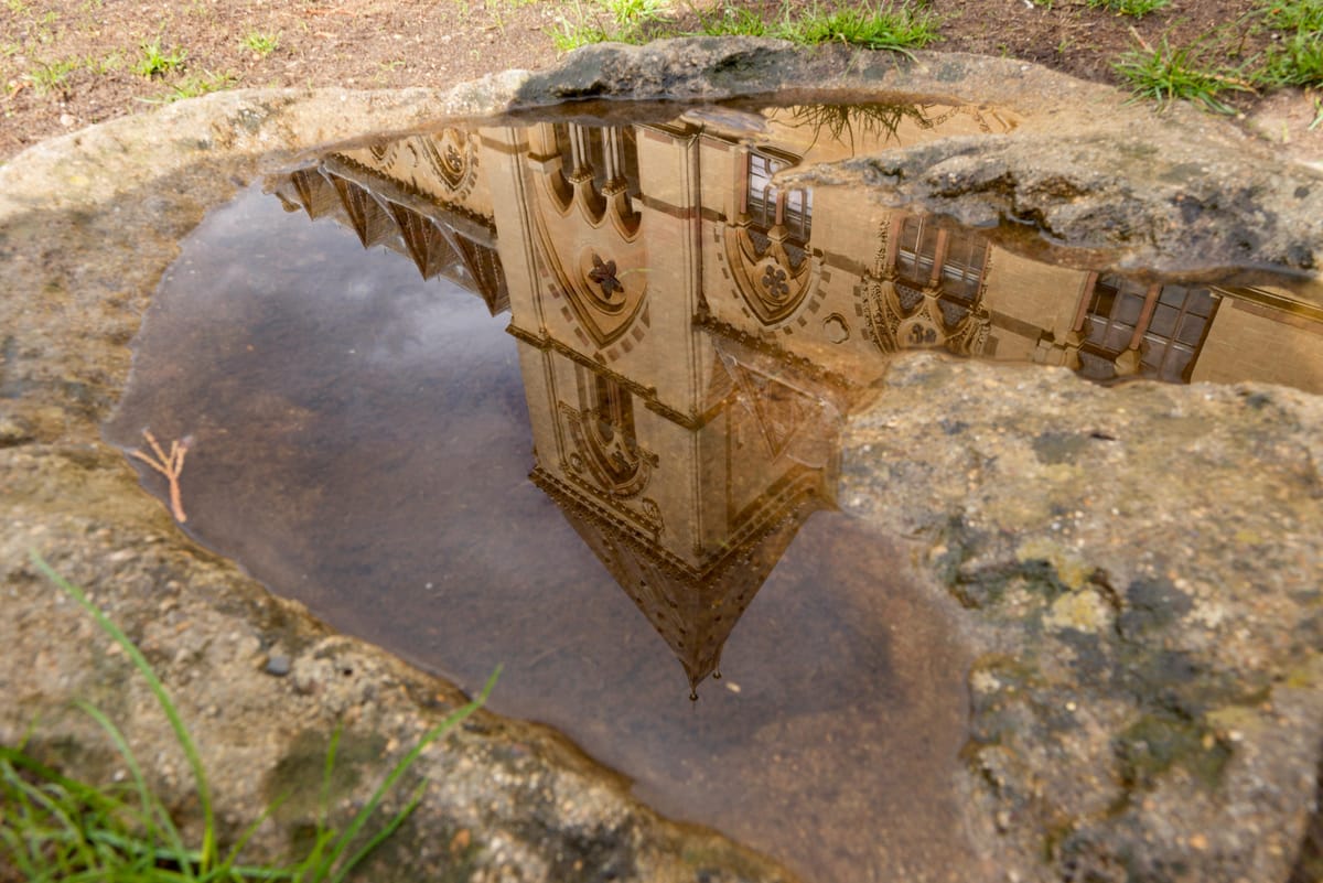 The Clarion, 20 January 2026