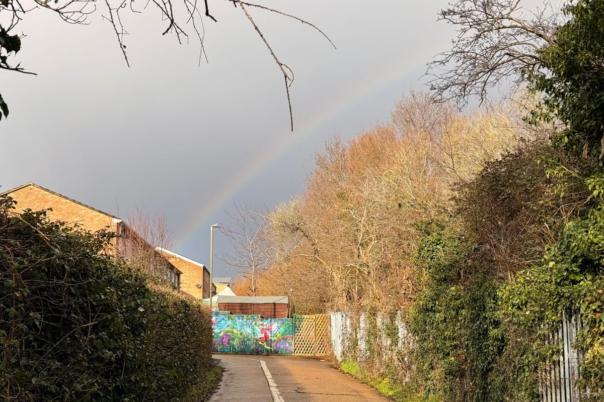 The Clarion, 27 January 2026