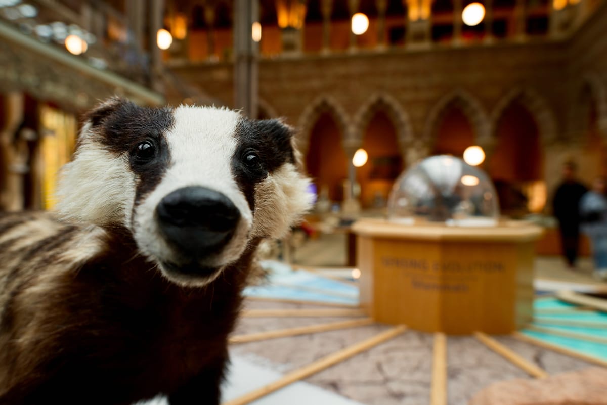 The Clarion, 13 January 2026