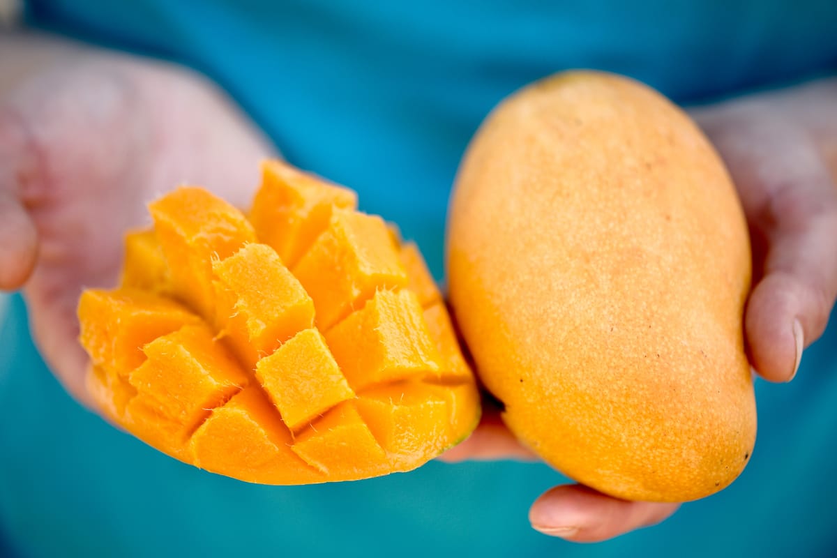 A primer on South Asian mangoes: a very opinionated guide