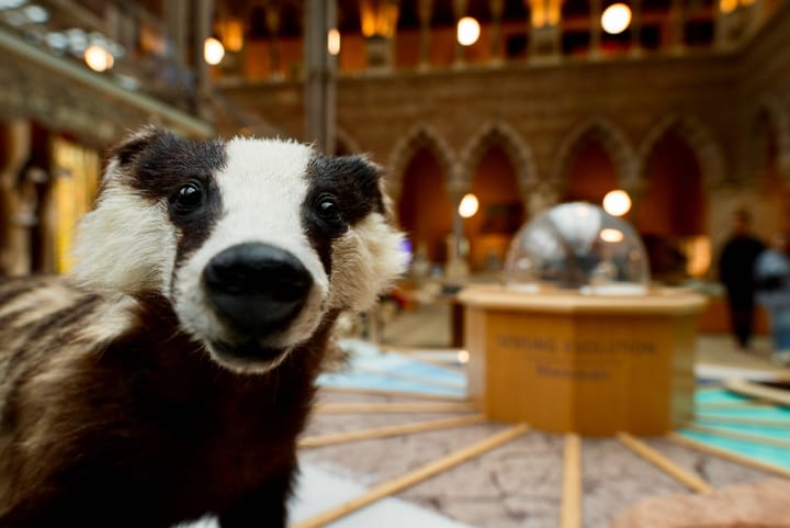 The Clarion, 13 January 2026