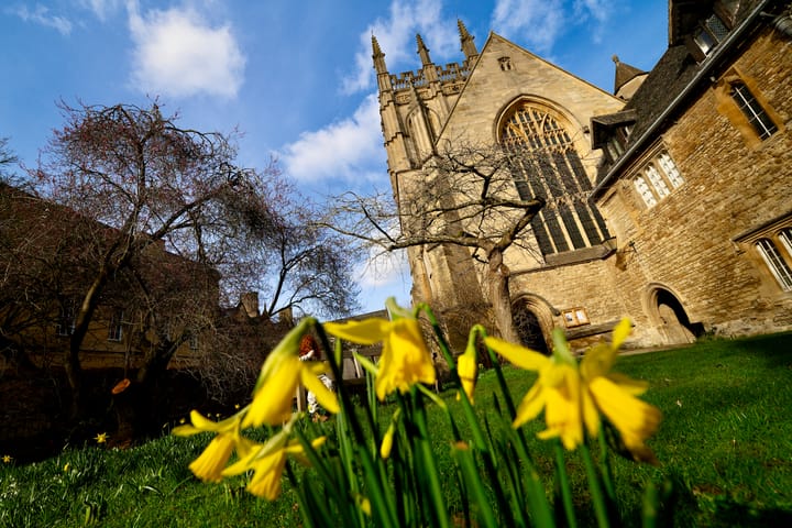 The Clarion, 17 February 2026