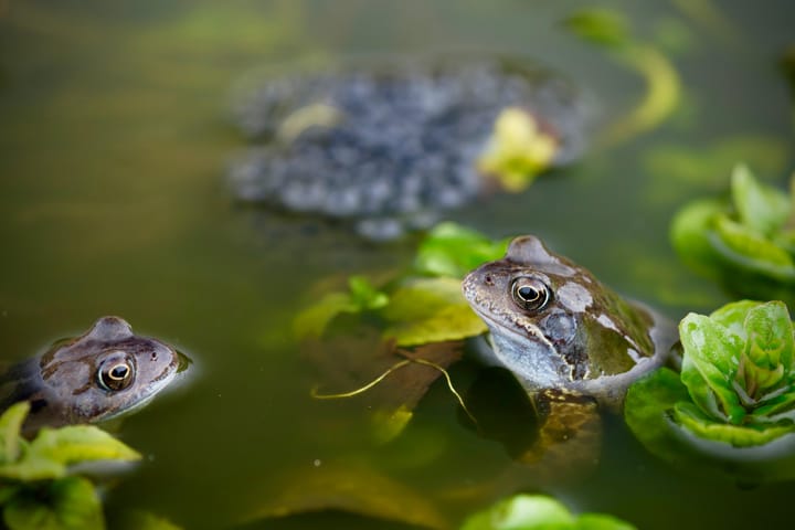 Clarion Weekend, 6 March 2026