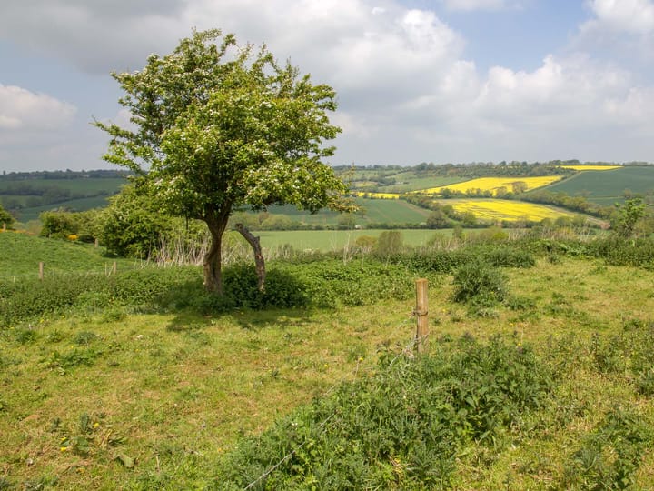 Step outside: Oxford Fieldpaths Society turns 100