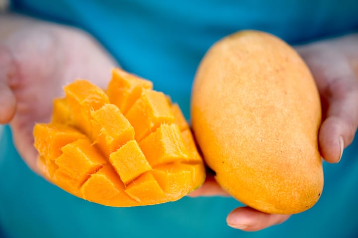 A primer on South Asian mangoes: a very opinionated guide