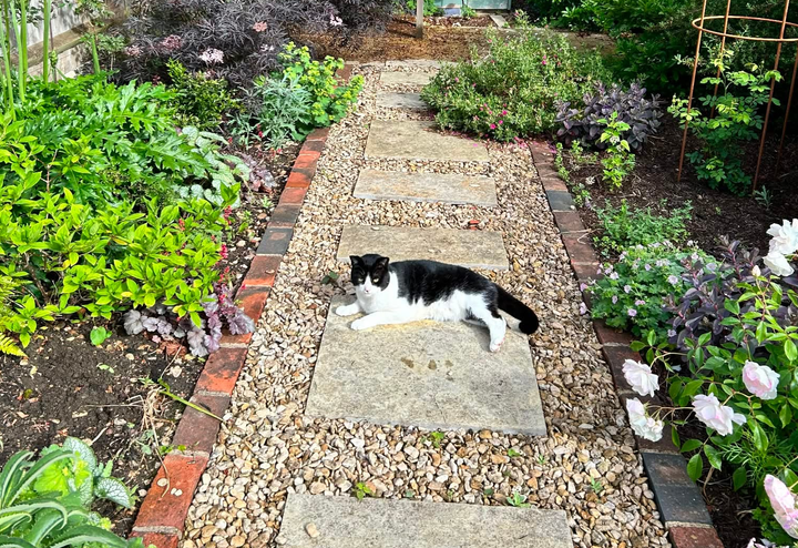 Five challenges with Oxford gardens… and how to turn them into opportunities
