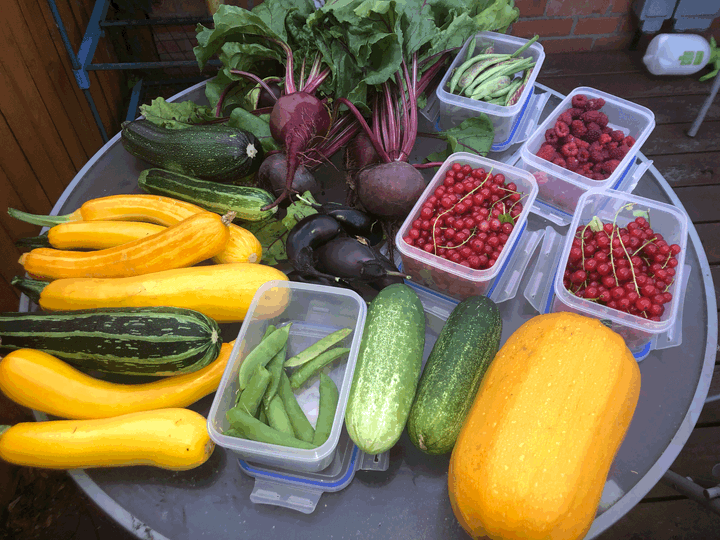 Grow it, forage it, preserve it